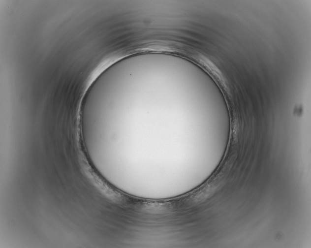 X0000090701378200707200919
