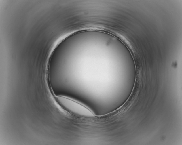 X0000090701379200707200919