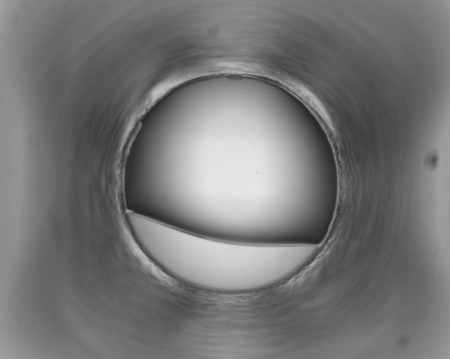 X0000090701381200707200919