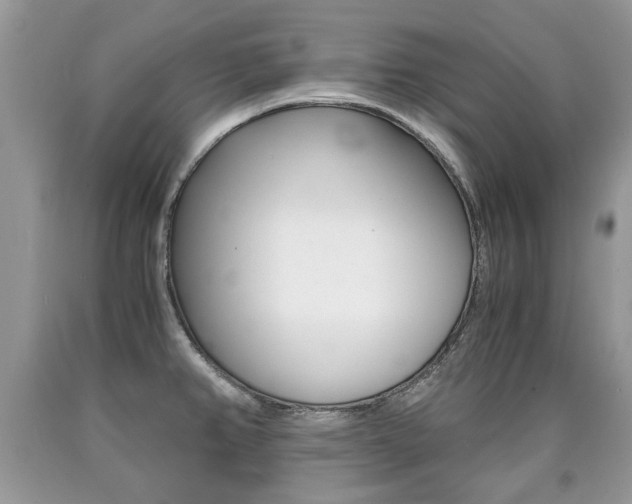X0000090701382200707200919