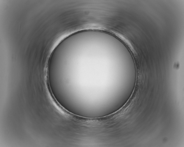 X0000090701383200707200919