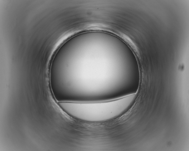 X0000090701384200707200919