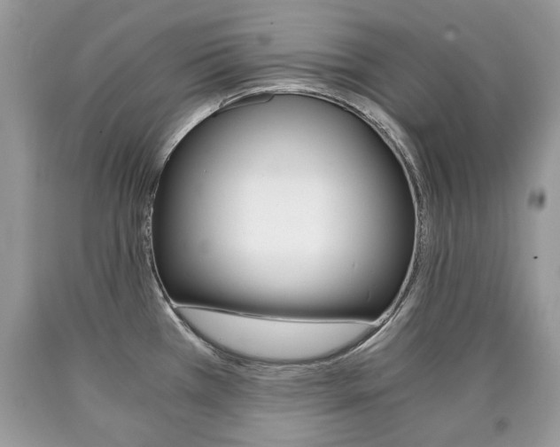 X0000090701385200707200919