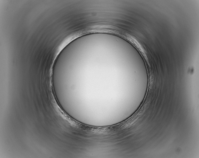 X0000090701386200707200919