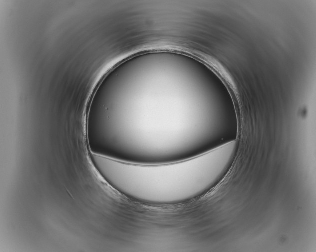 X0000090701388200707200919