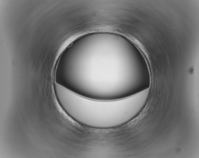X0000090701389200707200919