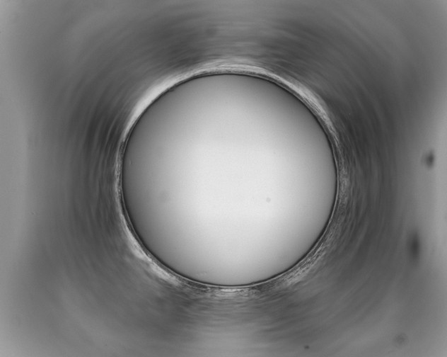 X0000090701390200707200919