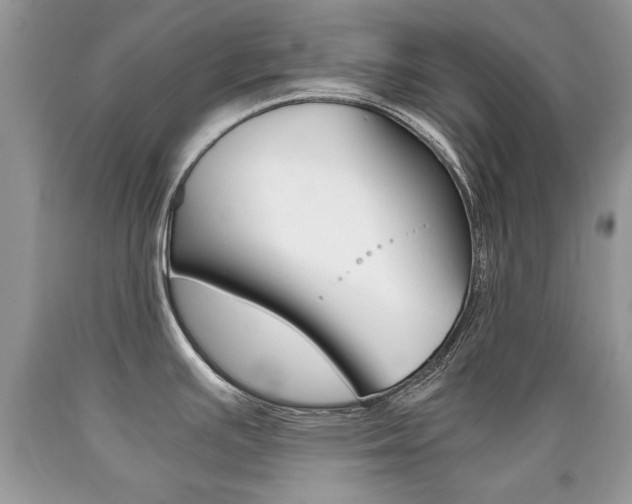 X0000090701391200707200919