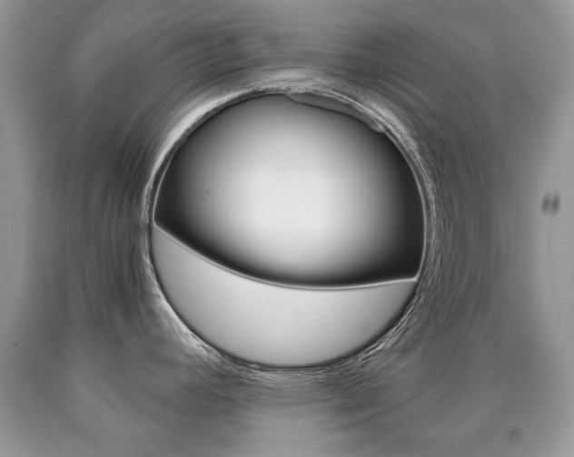 X0000090701392200707200919