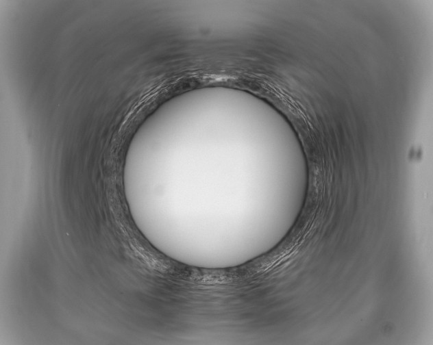 X0000090701393200707200918