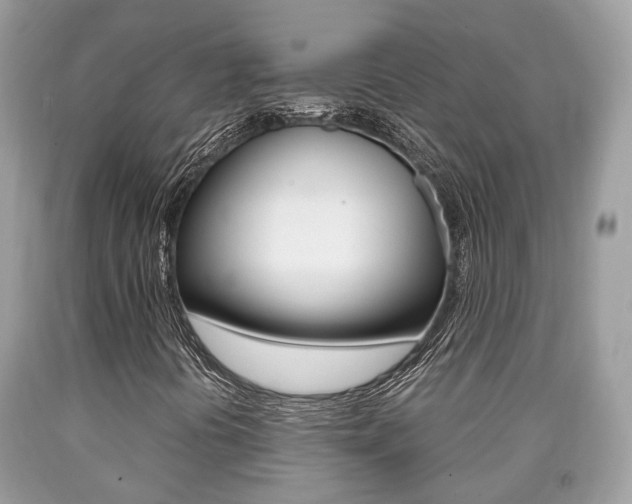 X0000090701394200707200918