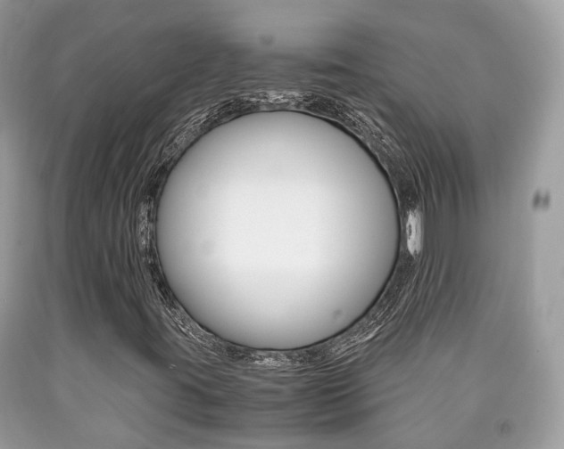 X0000090701395200707200918