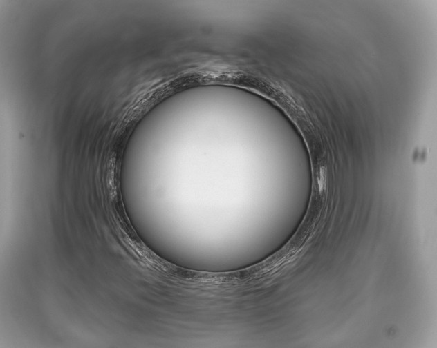 X0000090701396200707200918