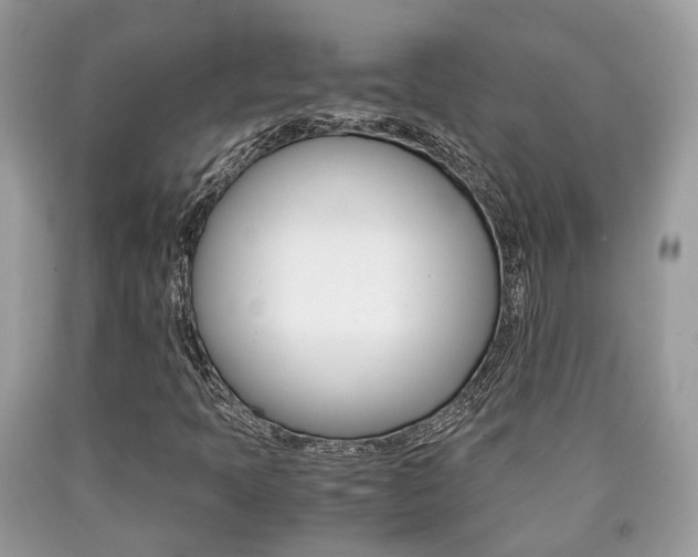 X0000090701397200707200918