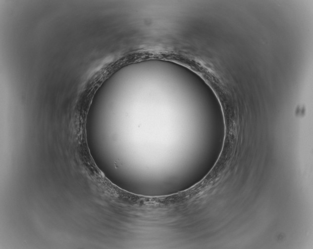 X0000090701398200707200918