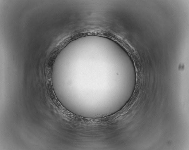 X0000090701399200707200918