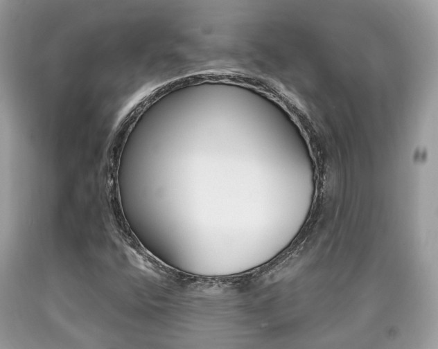 X0000090701400200707200918