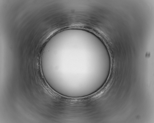 X0000090701401200707200918