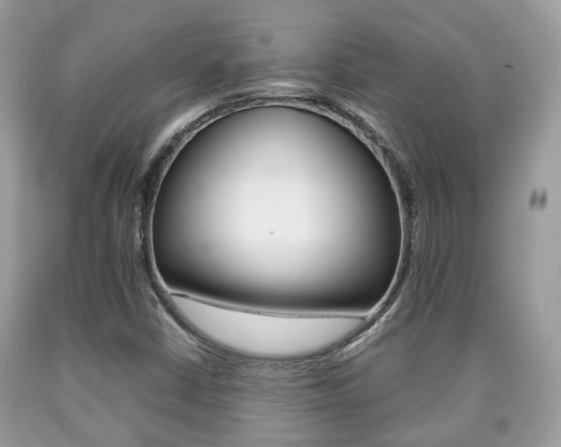 X0000090701402200707200918