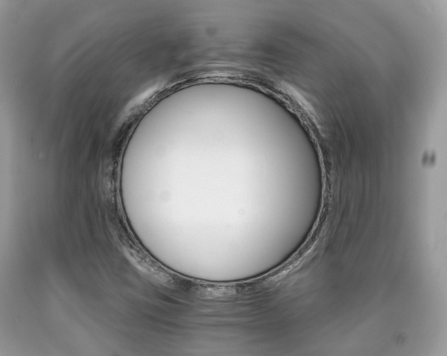 X0000090701403200707200918