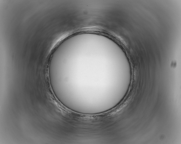 X0000090701405200707200918
