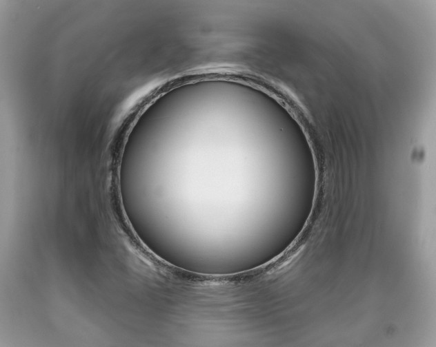 X0000090701406200707200918