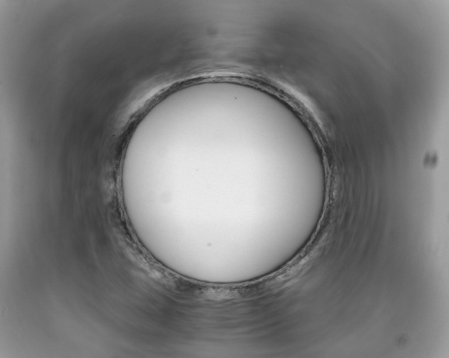 X0000090701407200707200918