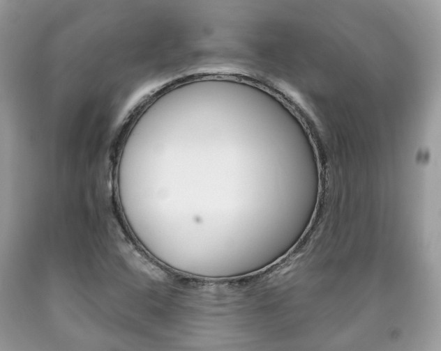X0000090701408200707200918