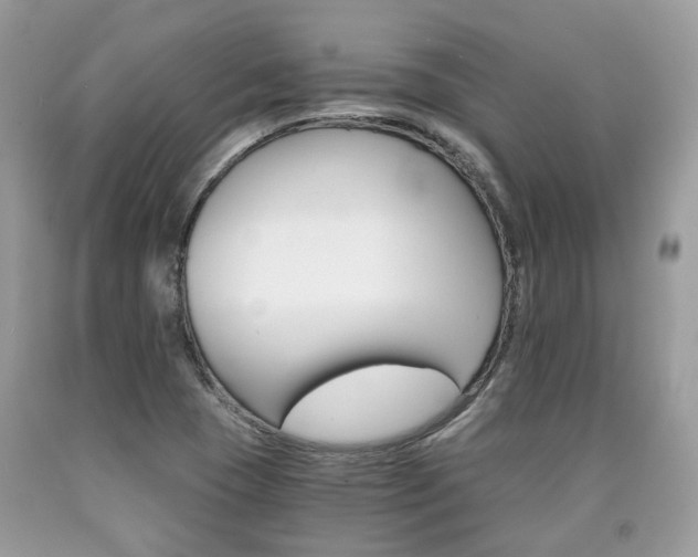 X0000090701409200707200918