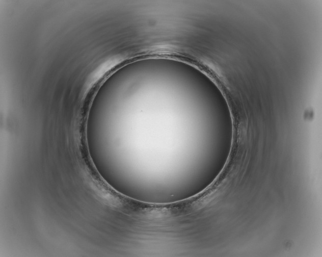 X0000090701410200707200918