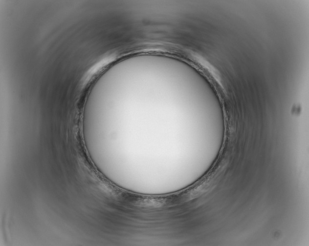 X0000090701411200707200918