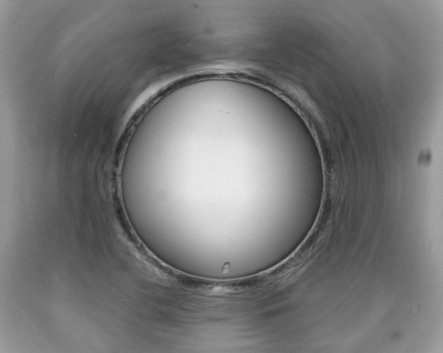X0000090701412200707200918