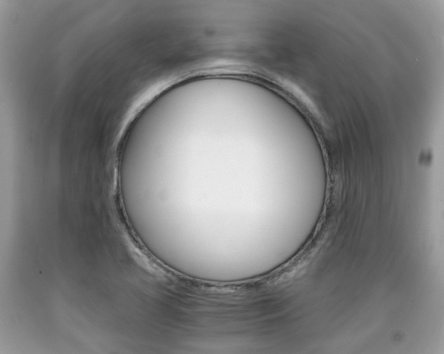 X0000090701413200707200918