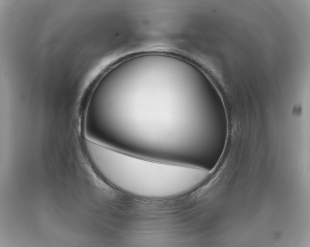 X0000090701414200707200918