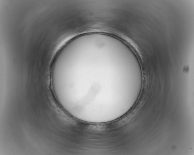 X0000090701415200707200918