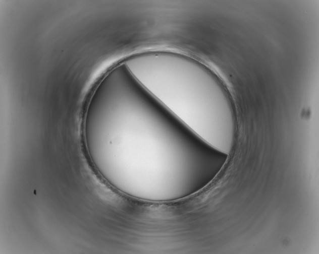 X0000090701416200707200918