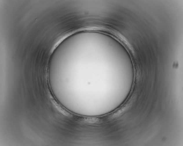 X0000090701417200707200918