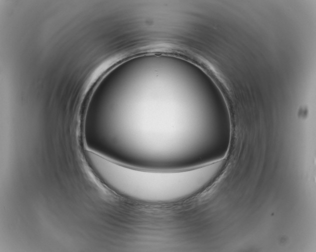 X0000090701418200707200918