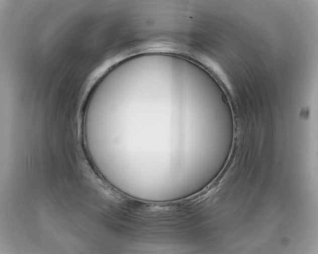 X0000090701419200707200918