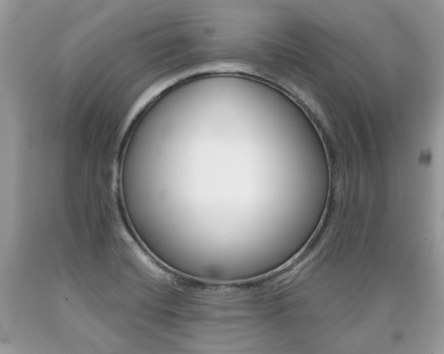 X0000090701420200707200918