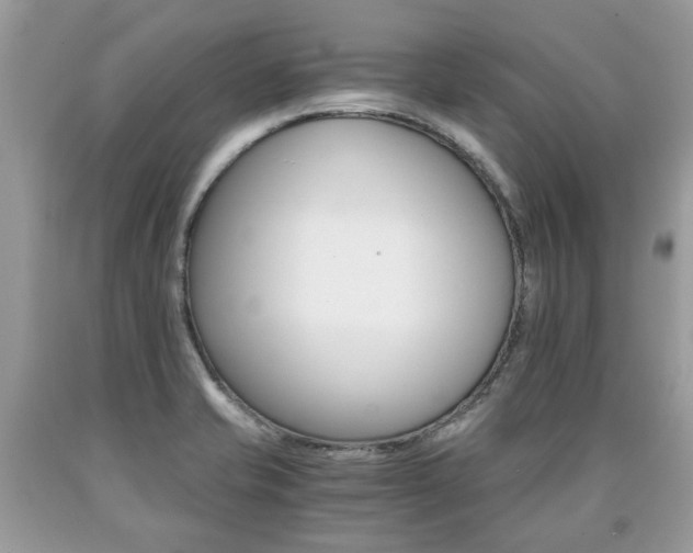 X0000090701421200707200918