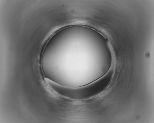 X0000090701422200707200918