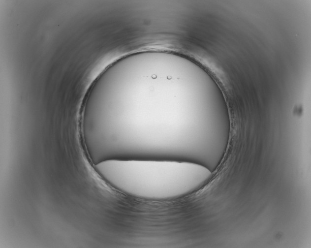 X0000090701423200707200918