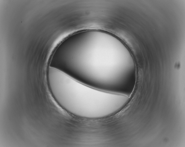 X0000090701424200707200918