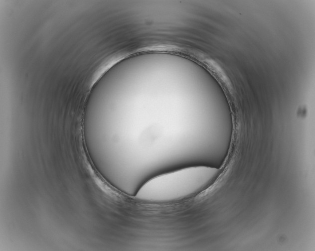 X0000090701425200707200918