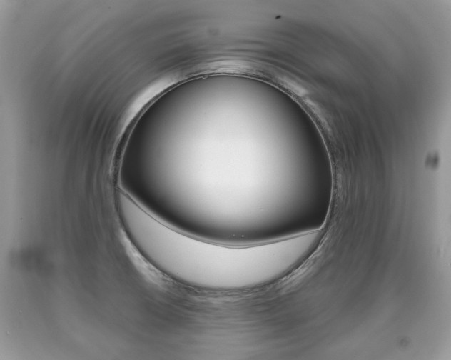 X0000090701426200707200918