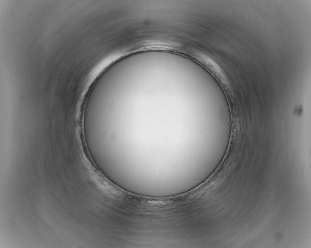 X0000090701427200707200918