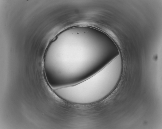 X0000090701428200707200918