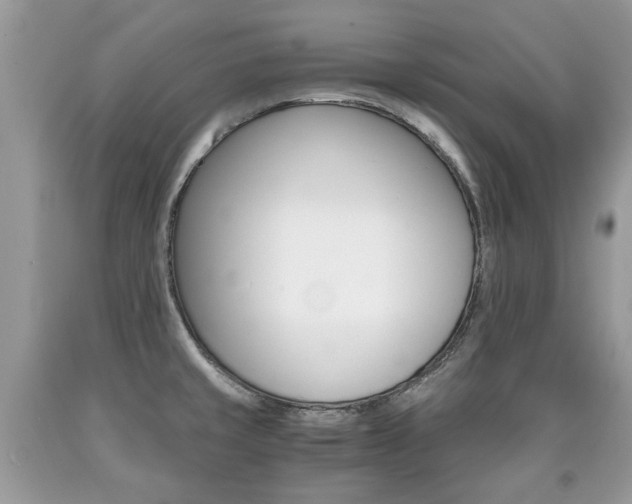 X0000090701429200707200918
