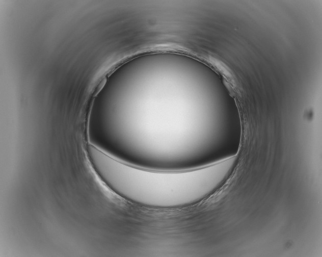 X0000090701430200707200918